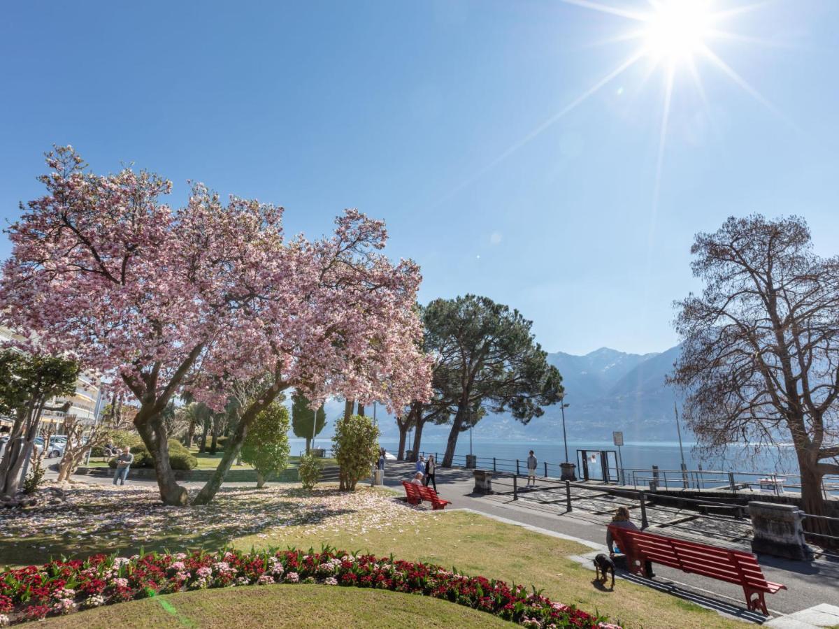 Double Room-2 By Interhome Apartment Ascona
